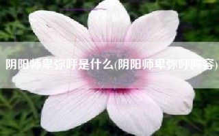 阴阳师卑弥呼是什么(阴阳师卑弥呼阵容)