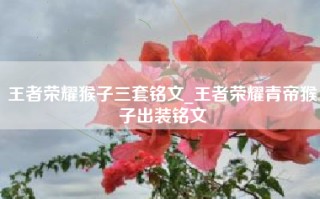 王者荣耀猴子三套铭文_王者荣耀青帝猴子出装铭文