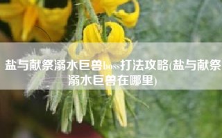 盐与献祭溺水巨兽boss打法攻略(盐与献祭溺水巨兽在哪里)