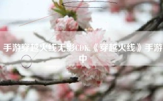 手游穿越火线无影CDK,《穿越火线》手游中