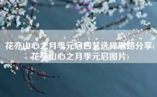 花亦山心之月季元启四艺选择思路分享(花亦山心之月季元启图片)