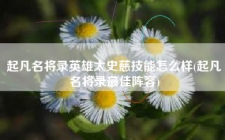 起凡名将录英雄太史慈技能怎么样(起凡名将录最佳阵容)