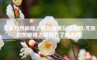 龙族幻想巅峰之路晋级赛玩法攻略(龙族幻想巅峰之路报名了能退吗)