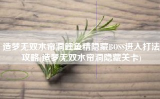 造梦无双水帘洞鲤鱼精隐藏BOSS进入打法攻略(造梦无双水帘洞隐藏关卡)