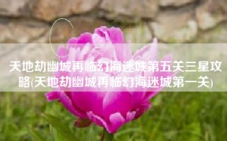 天地劫幽城再临幻海迷城第五关三星攻略(天地劫幽城再临幻海迷城第一关)
