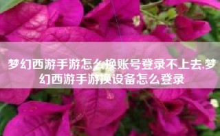 梦幻西游手游怎么换账号登录不上去,梦幻西游手游换设备怎么登录