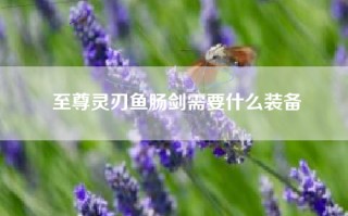 至尊灵刃鱼肠剑需要什么装备