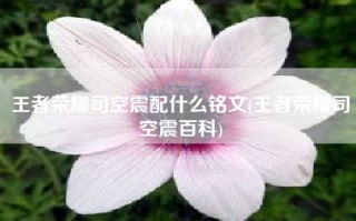 王者荣耀司空震配什么铭文(王者荣耀司空震百科)