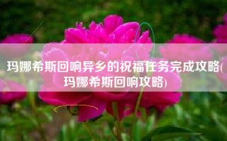 玛娜希斯回响异乡的祝福任务完成攻略(玛娜希斯回响攻略)