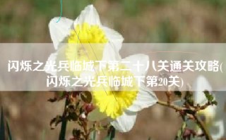 闪烁之光兵临城下第二十八关通关攻略(闪烁之光兵临城下第20关)
