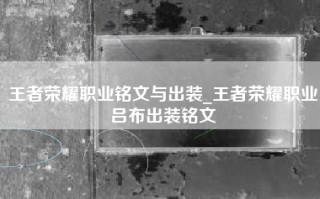 王者荣耀职业铭文与出装_王者荣耀职业吕布出装铭文