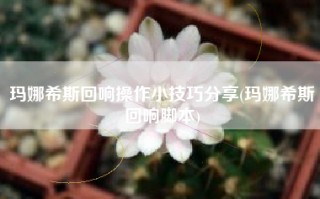 玛娜希斯回响操作小技巧分享(玛娜希斯回响脚本)