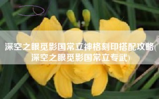 深空之眼觅影国常立神格刻印搭配攻略(深空之眼觅影国常立专武)