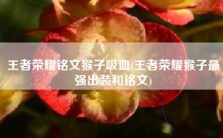 王者荣耀铭文猴子吸血(王者荣耀猴子最强出装和铭文)