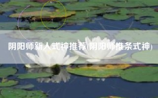 阴阳师新人式神推荐(阴阳师推条式神)