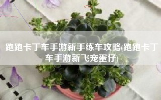 跑跑卡丁车手游新手练车攻略(跑跑卡丁车手游新飞宠蛋仔)