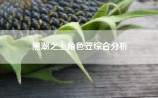 黑潮之上角色笠综合分析