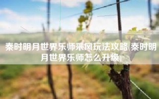 秦时明月世界乐师采风玩法攻略(秦时明月世界乐师怎么升级)