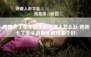 跑跑卡丁车手游车队经理人怎么玩(跑跑卡丁车手游车手属性哪个好)