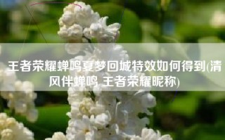 王者荣耀蝉鸣夏梦回城特效如何得到(清风伴蝉鸣 王者荣耀昵称)