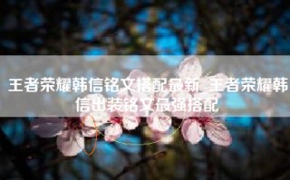 王者荣耀韩信铭文搭配最新_王者荣耀韩信出装铭文最强搭配