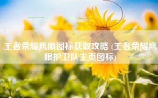 王者荣耀鹰眼图标获取攻略 (王者荣耀鹰眼护卫队主页图标)