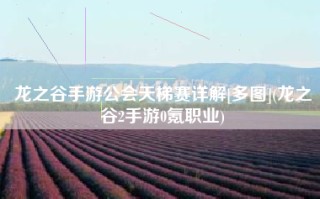 龙之谷手游公会天梯赛详解[多图](龙之谷2手游0氪职业)