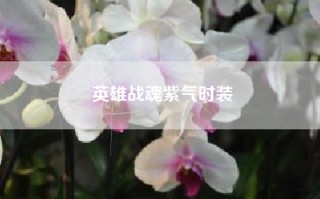 英雄战魂紫气时装