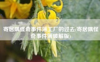 寄居隅怪奇事件簿工厂的过去(寄居隅怪奇事件簿破解版)