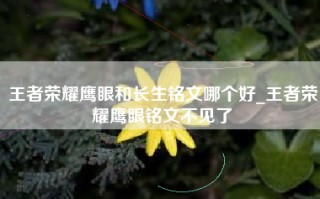 王者荣耀鹰眼和长生铭文哪个好_王者荣耀鹰眼铭文不见了