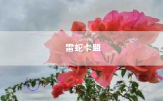 雷蛇卡盟