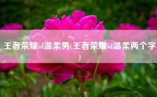 王者荣耀id温柔男(王者荣耀id温柔两个字)
