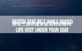 醉弈三国冰魔使能用到后期吗