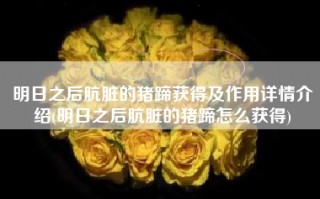 明日之后肮脏的猪蹄获得及作用详情介绍(明日之后肮脏的猪蹄怎么获得)