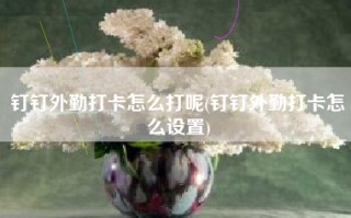 钉钉外勤打卡怎么打呢(钉钉外勤打卡怎么设置)