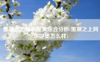 黑潮之上阿尔提奥综合分析(黑潮之上阿尔提奥怎么样)