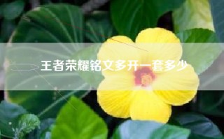 王者荣耀铭文多开一套多少