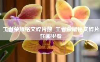 王者荣耀铭文碎片数_王者荣耀铭文碎片在哪里看