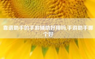 靠谱助手的手游辅助好用吗,手游助手哪个好