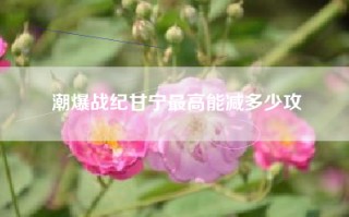潮爆战纪甘宁最高能减多少攻