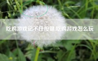 吃鸡游戏记不住按键,吃鸡游戏怎么玩