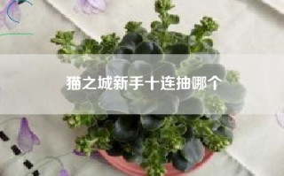 猫之城新手十连抽哪个