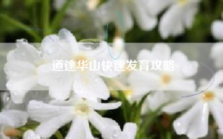 道途华山快速发育攻略