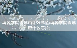 魂器学院琉璃带什么芯片(魂器学院琉璃带什么芯片)