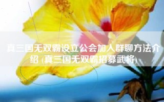 真三国无双霸设立公会加入群聊方法介绍 (真三国无双霸招募武将)