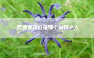 原神夜鸦谁是那个怠惰之人