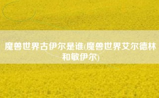 魔兽世界古伊尔是谁(魔兽世界艾尔德林和敏伊尔)