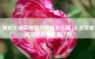 现在王者荣耀铭文碎片怎么买_王者荣耀铭文碎片不能抽了吗