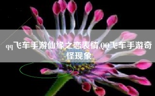 qq飞车手游仙缘之恋表情,QQ飞车手游奇怪现象
