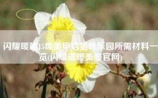 闪耀暖暖15级美甲店猫咪乐园所需材料一览(闪耀暖暖美服官网)